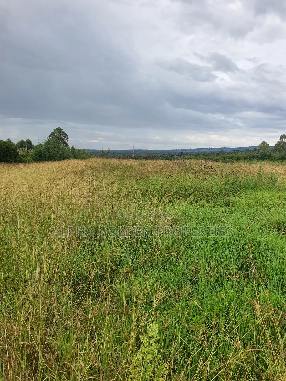 2 Acres in Giachuma