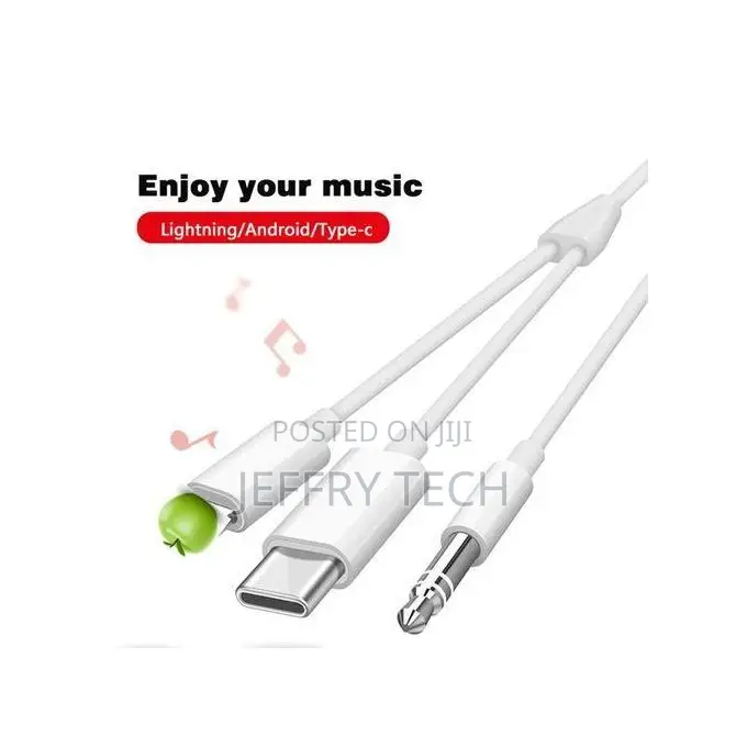 Type C and Lightning to 3.5mm Male Aux