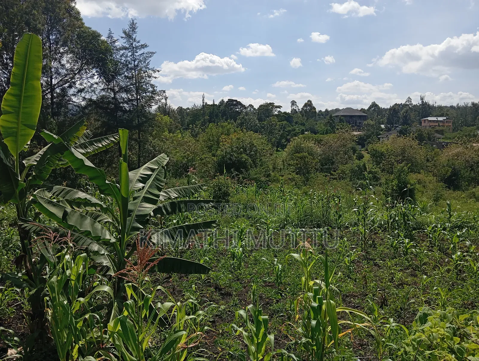 A Prime Residential 1/2 Acre at Ngong - Karen West