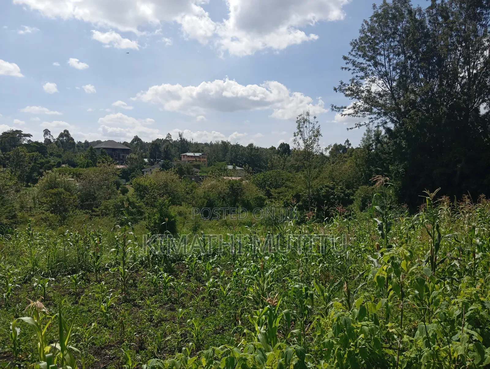 A Prime Residential 1/2 Acre at Ngong - Karen West
