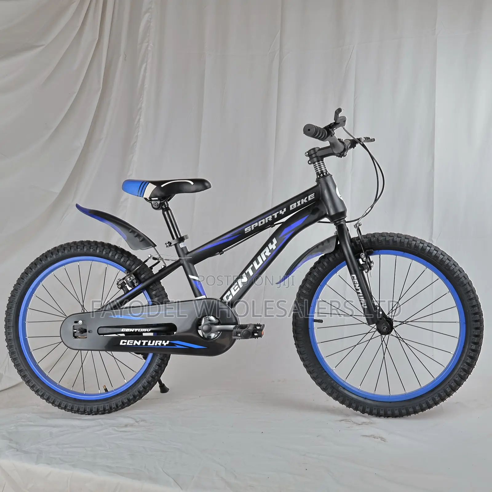 Sporty Blue Century Bike – Ages 8-13