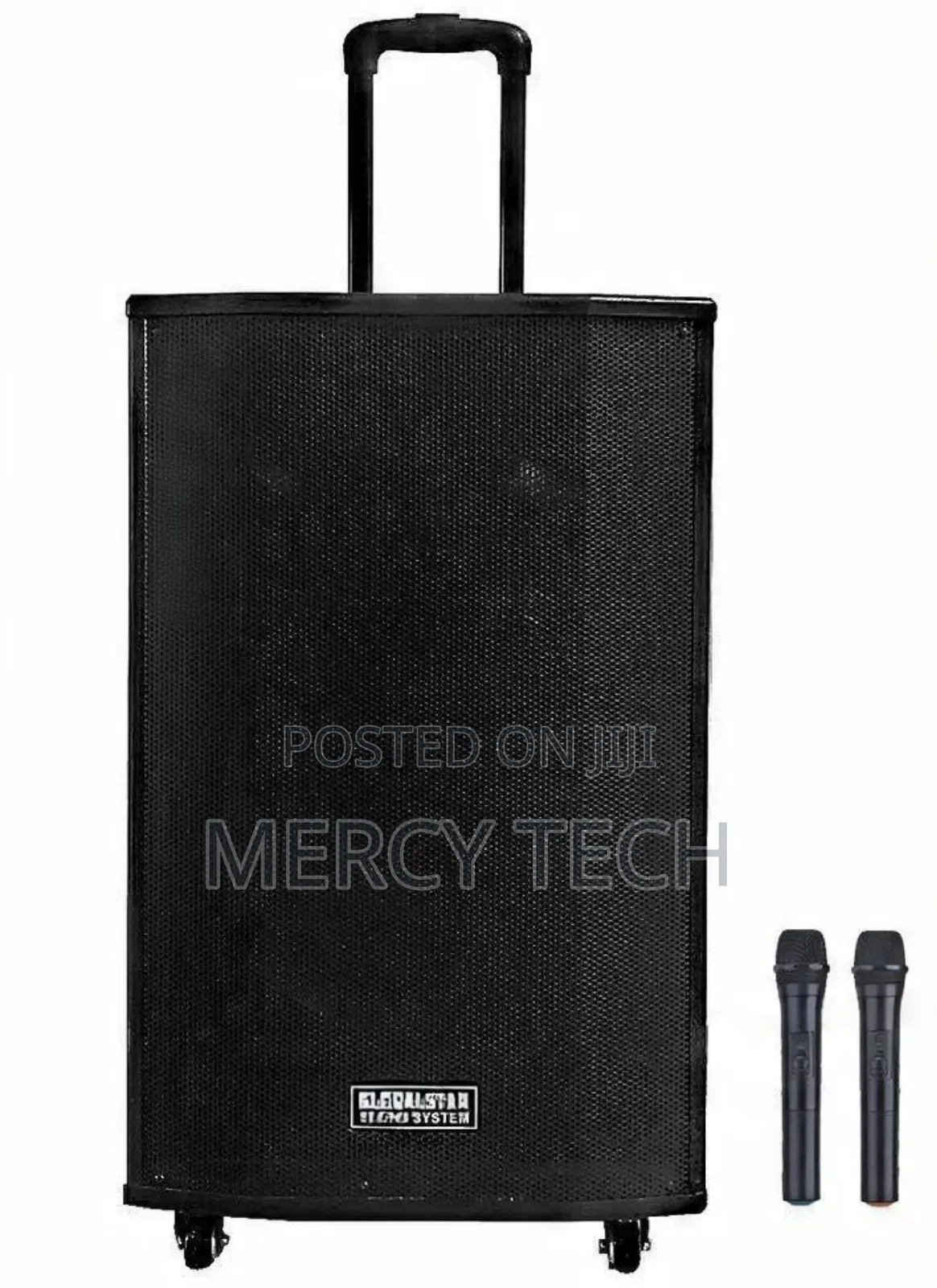 Globalstar Portable Speaker System *L1503*