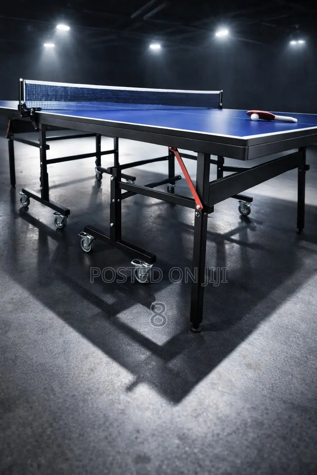Indoor Game Table Tennis Professional