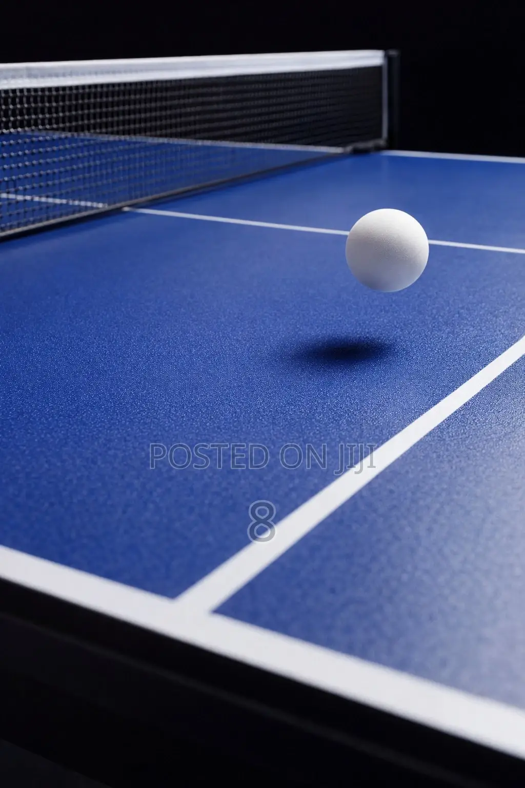 Foldable Ping Pong Table for Adults