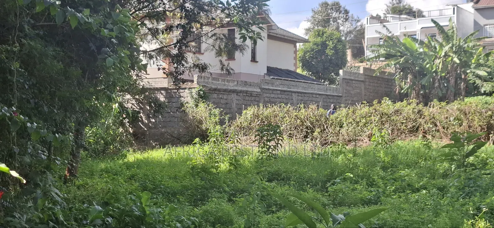 1/2 Available Land for Sale in Kikuyu Mai Hii Kiambu County