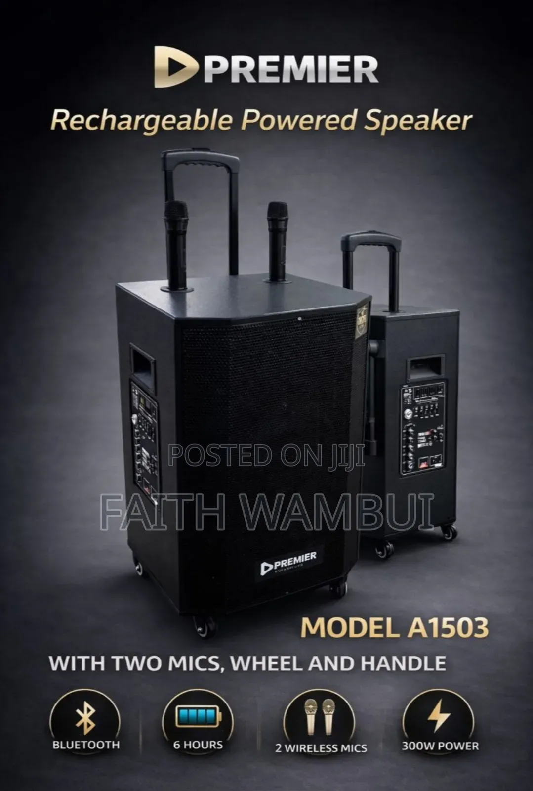 New Arrival Premier Rechargeable Powered Speaker With Two Mic Bluetooh