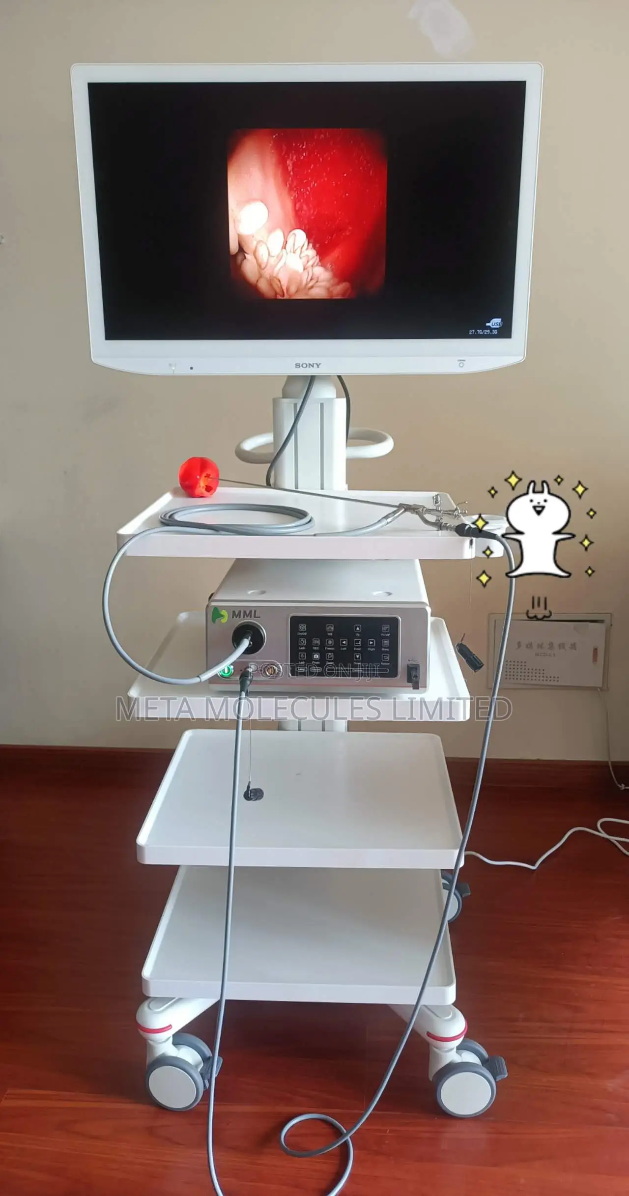MML All-in-One Endoscope Machine
