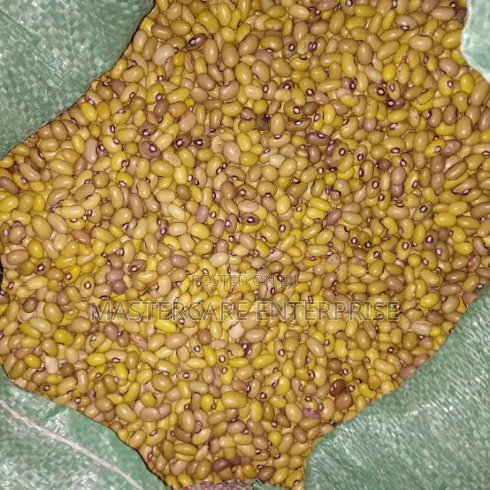 Yellow Beans 1 Full Sack