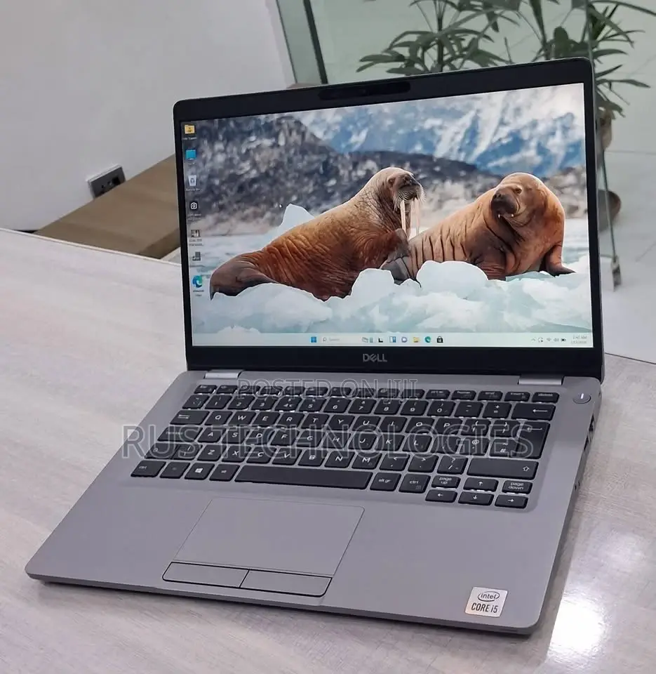 Laptop Dell Latitude 5310 16GB Intel Core i7 SSD 256GB