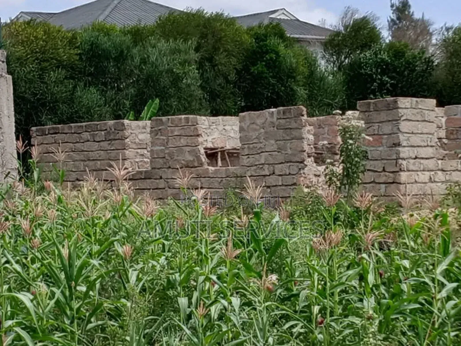 Kyumvi: 1 Acre for Sale