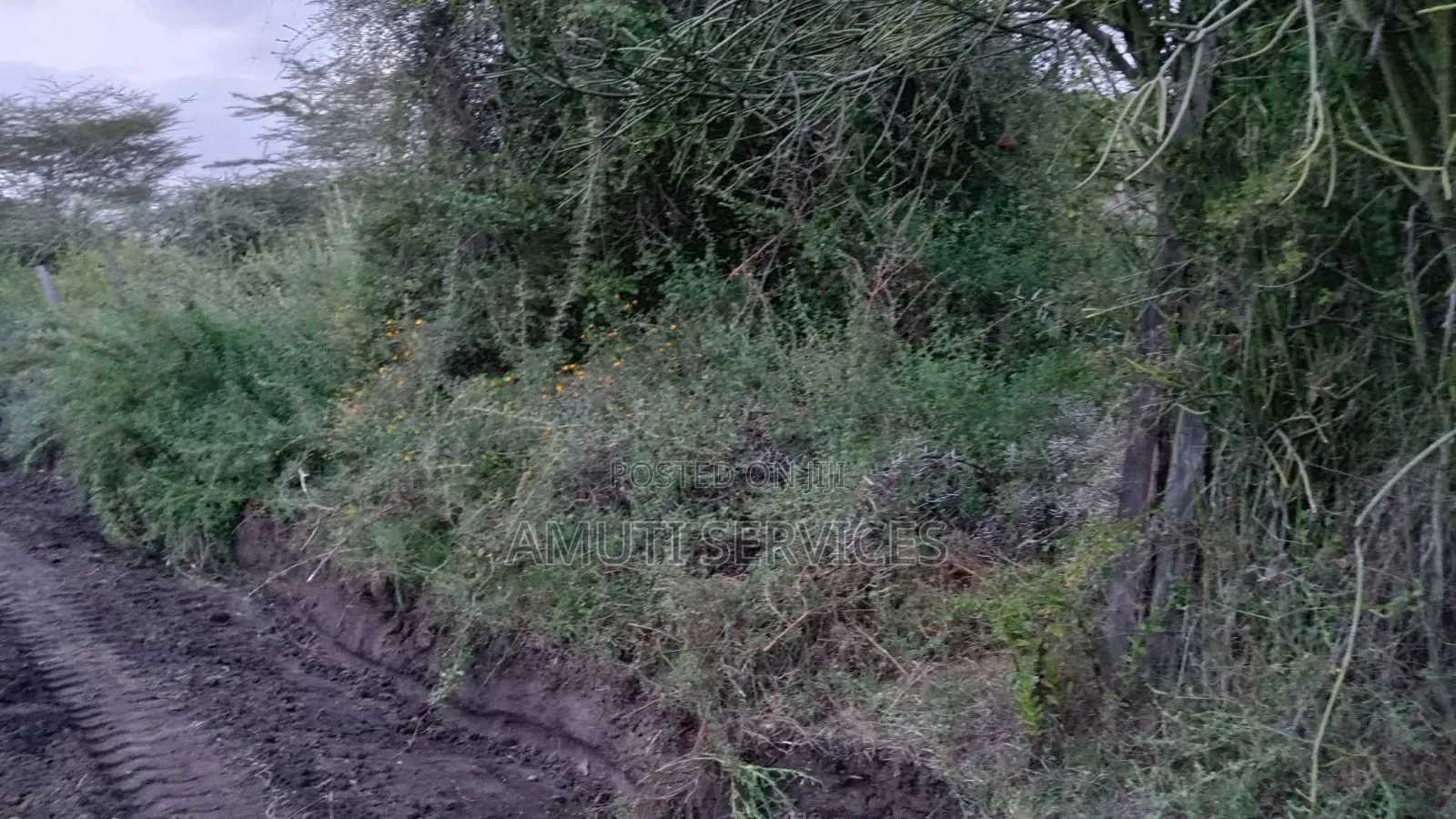 Kyumvi: 1 Acre for Sale