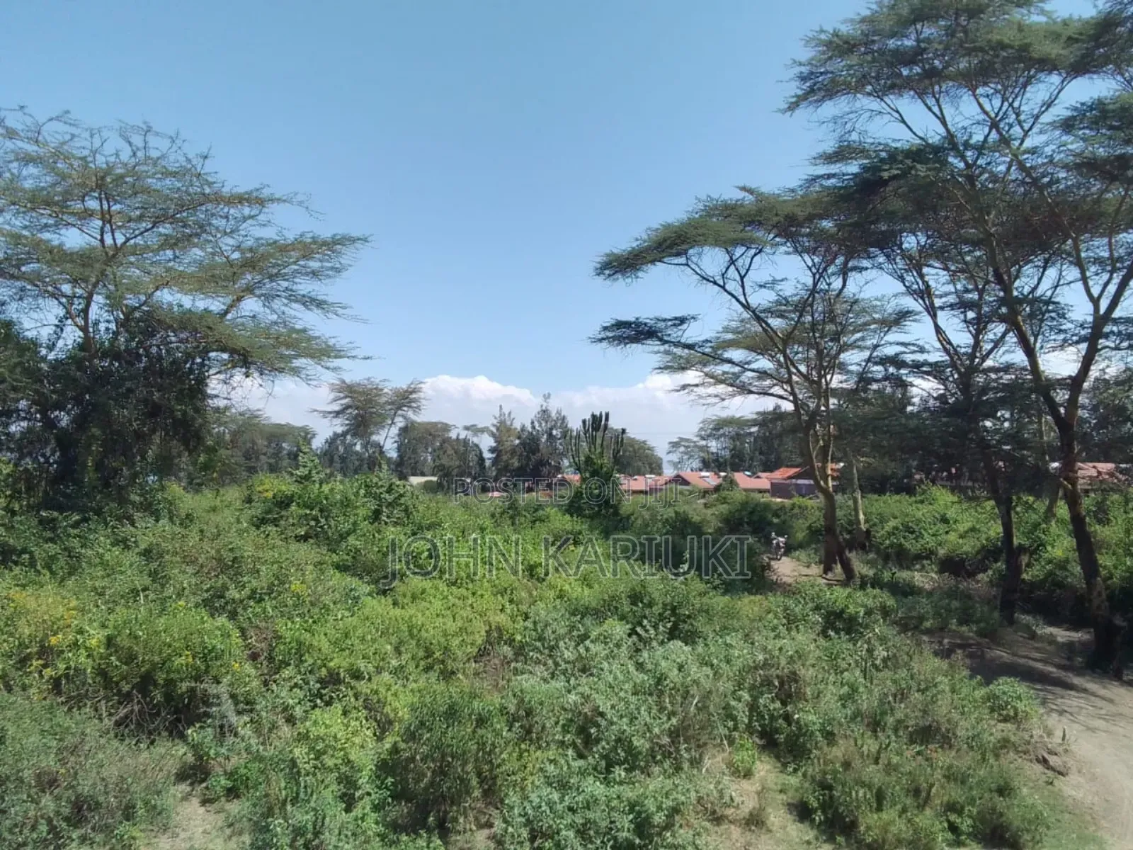 15 Acres of Land in Naivasha Touching the Lake and Tarmac