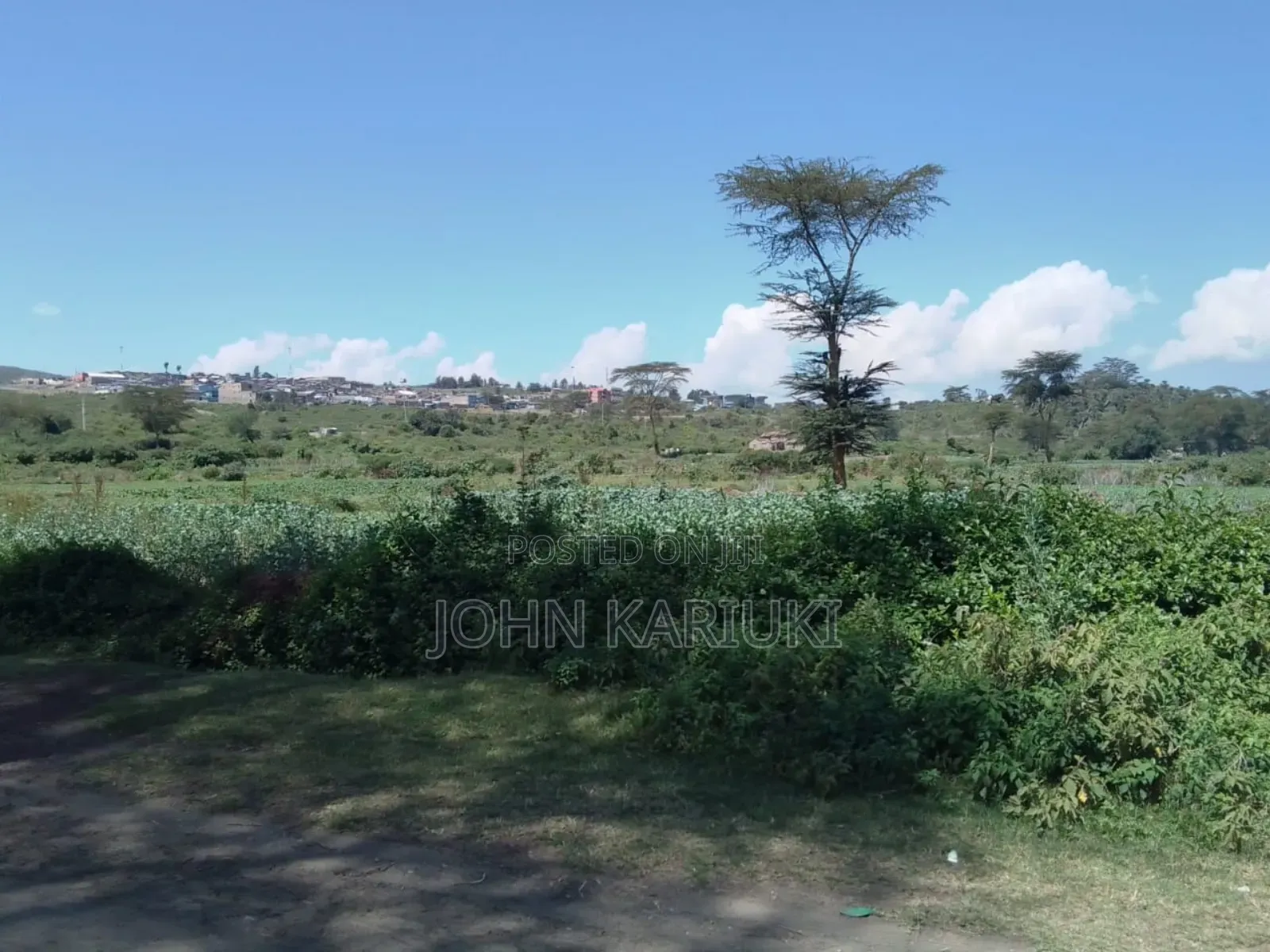 15 Acres of Land in Naivasha Touching the Lake and Tarmac