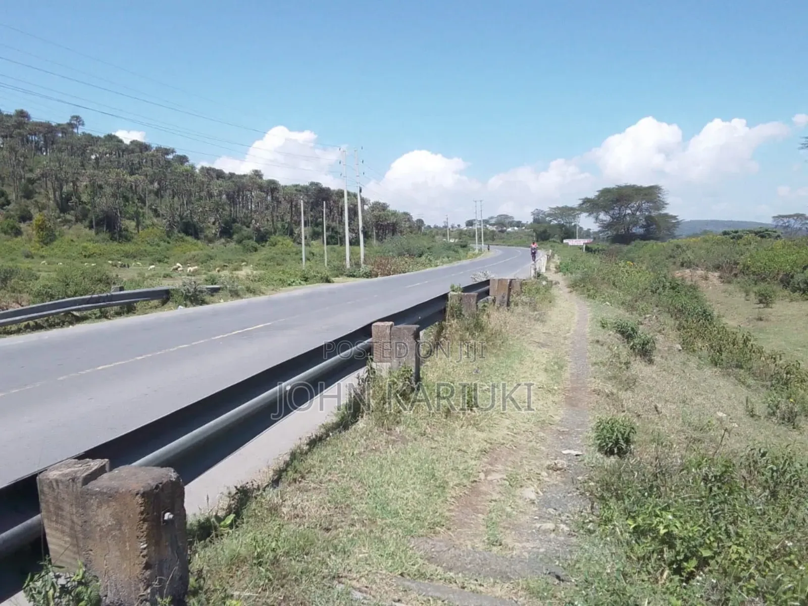 15 Acres of Land in Naivasha Touching the Lake and Tarmac