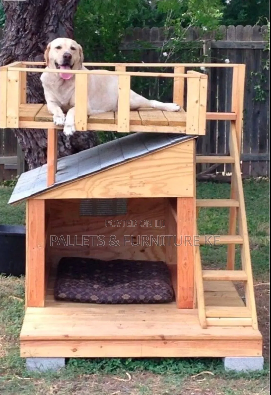 Elitepup Kennel Why