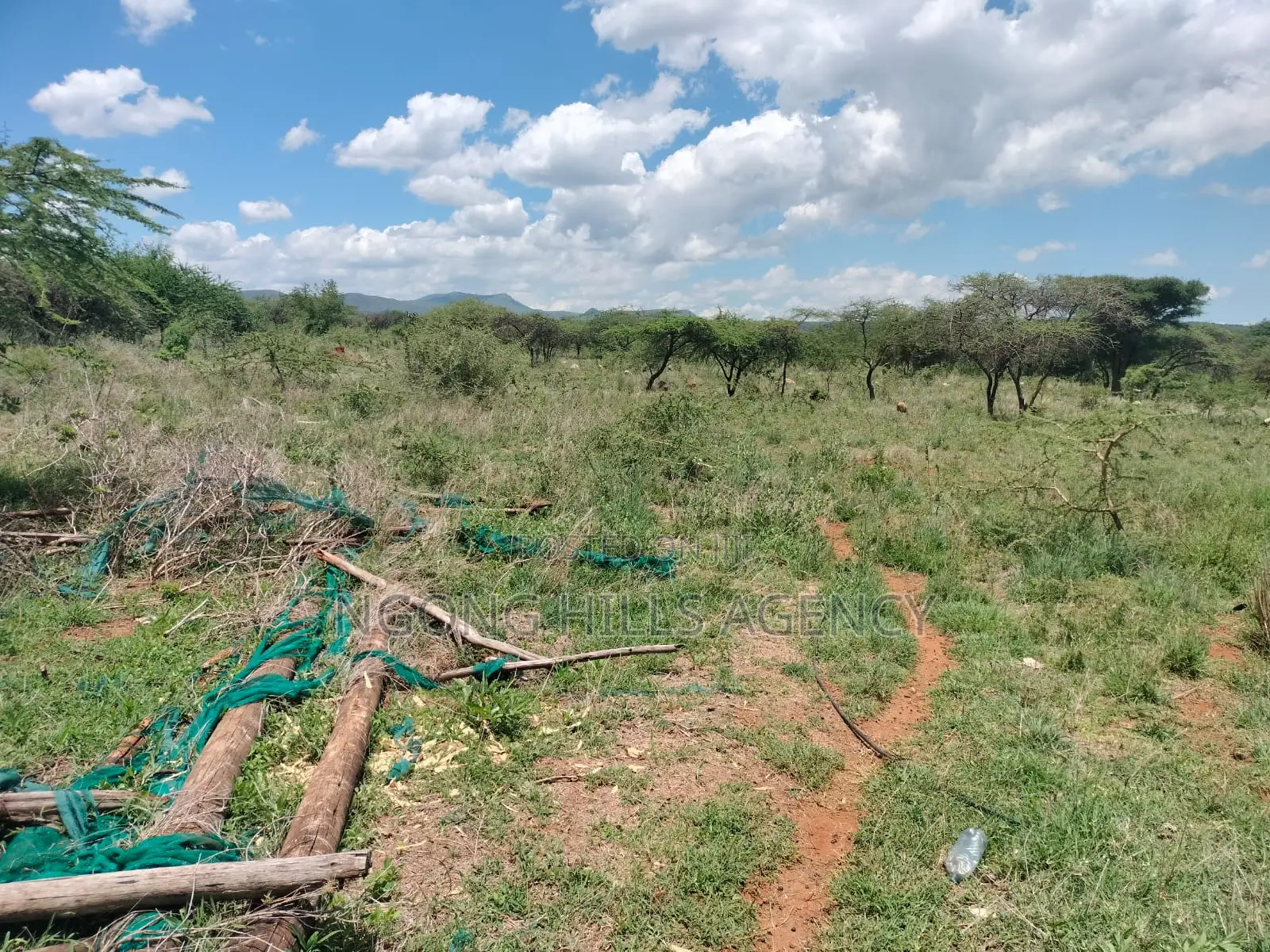 Prime 8-Acre Agricultural Land for Sale – Mararoi, Ngong