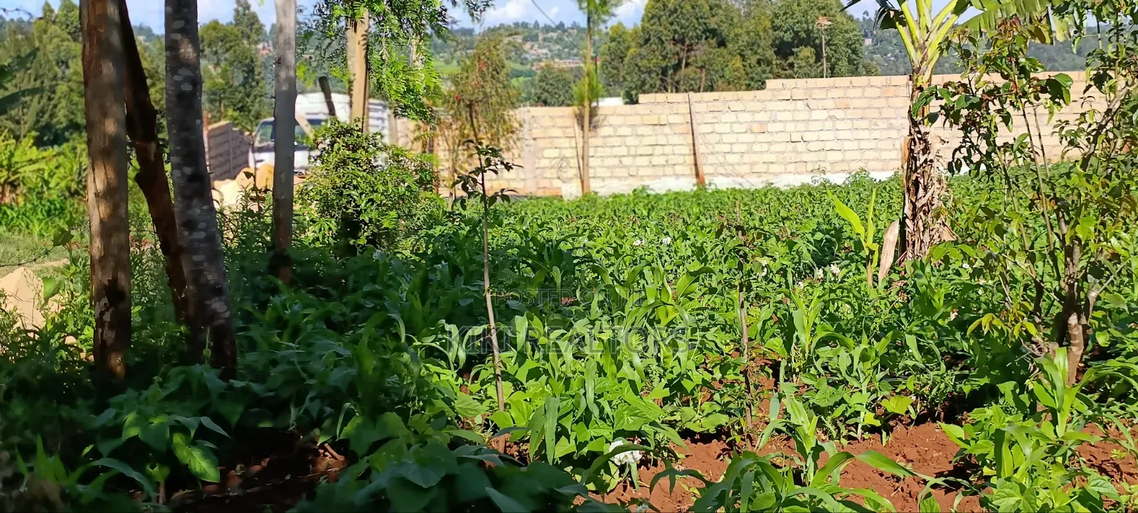 Residential Plots for Sale