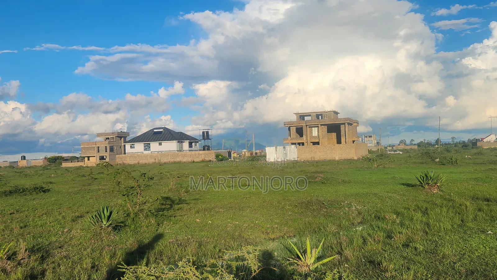 50by100 Juja Kalimoni
