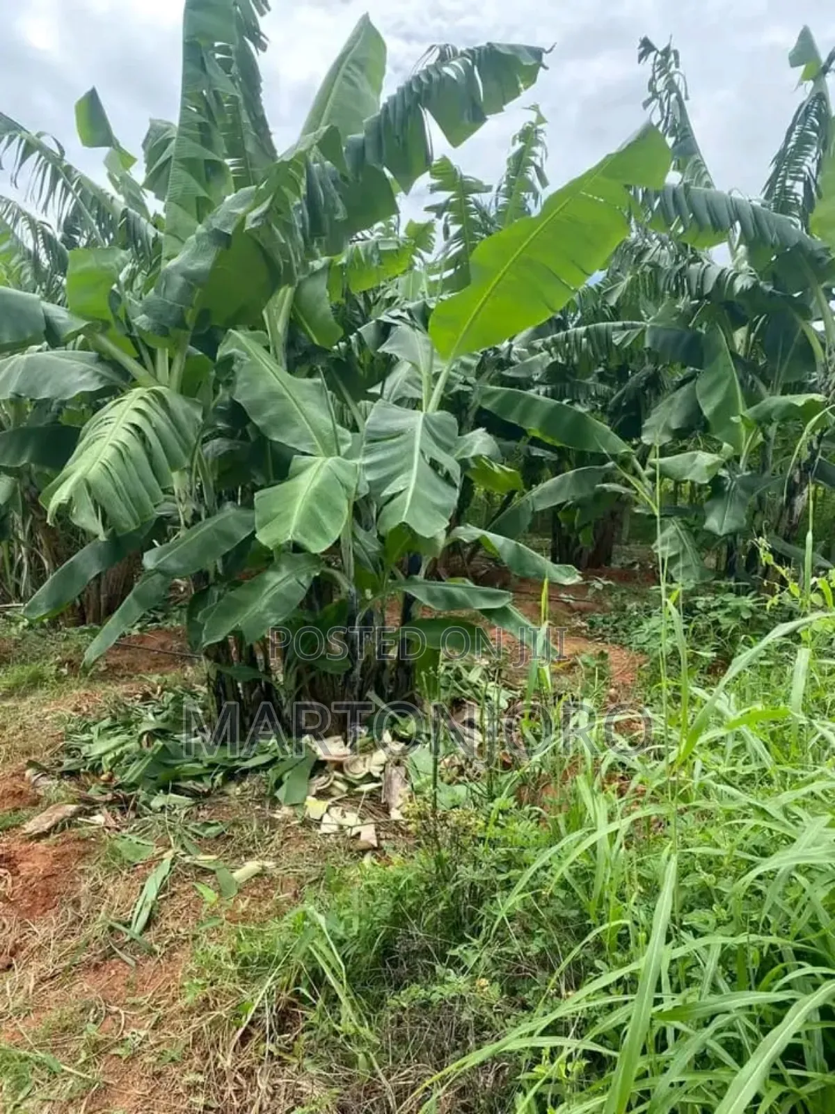 2 Acres Near Makutano Ya Mwea