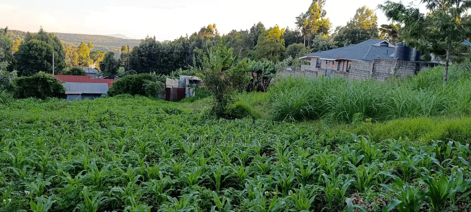 Kikuyu Prime Plots for Sale