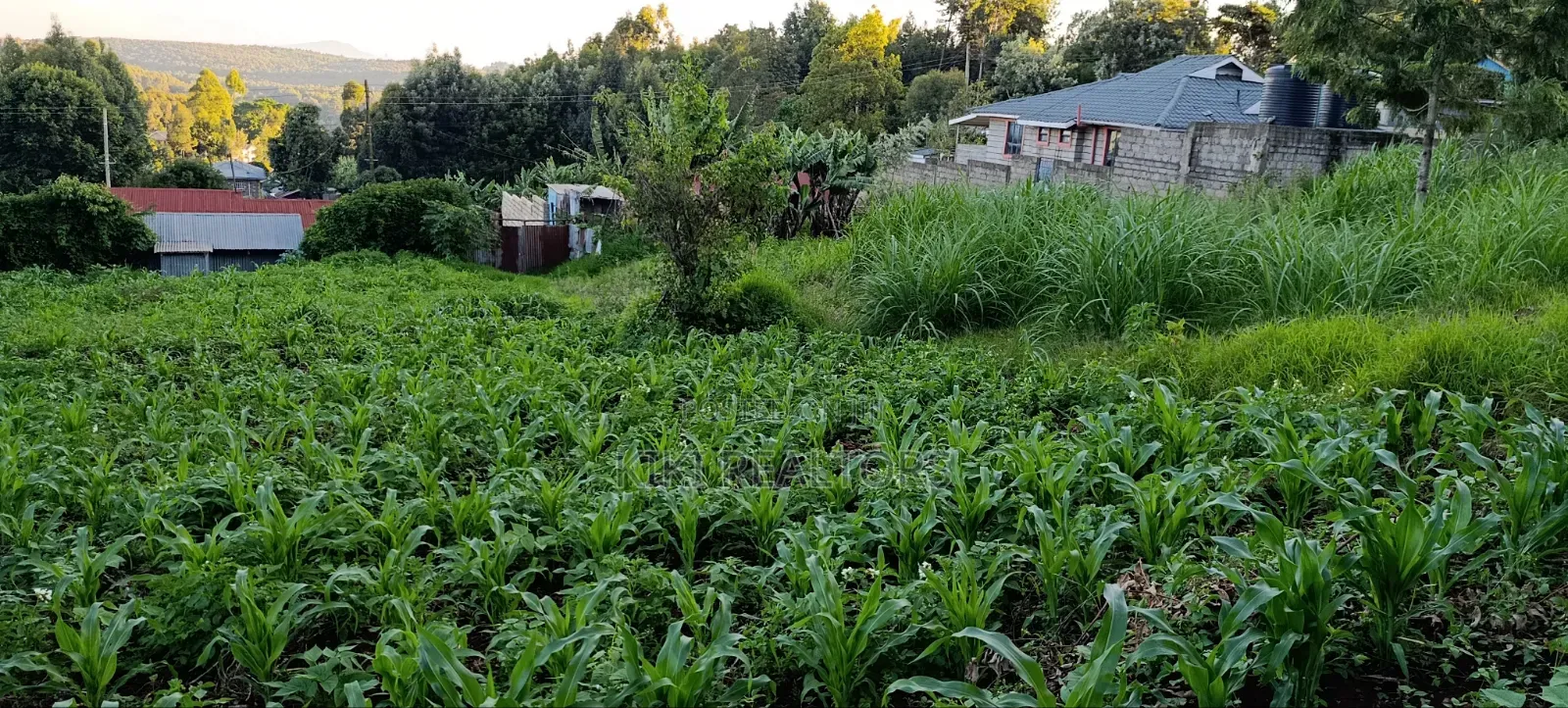 Kikuyu Prime Plots for Sale