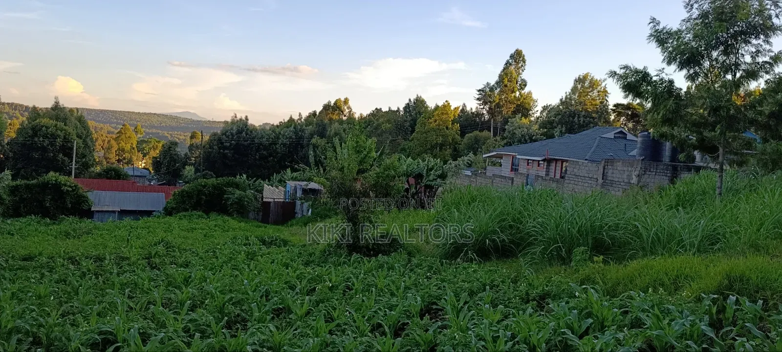 Kikuyu Prime Plots for Sale