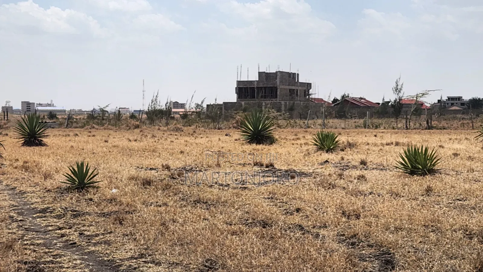 Affodable Plots Jujafarm