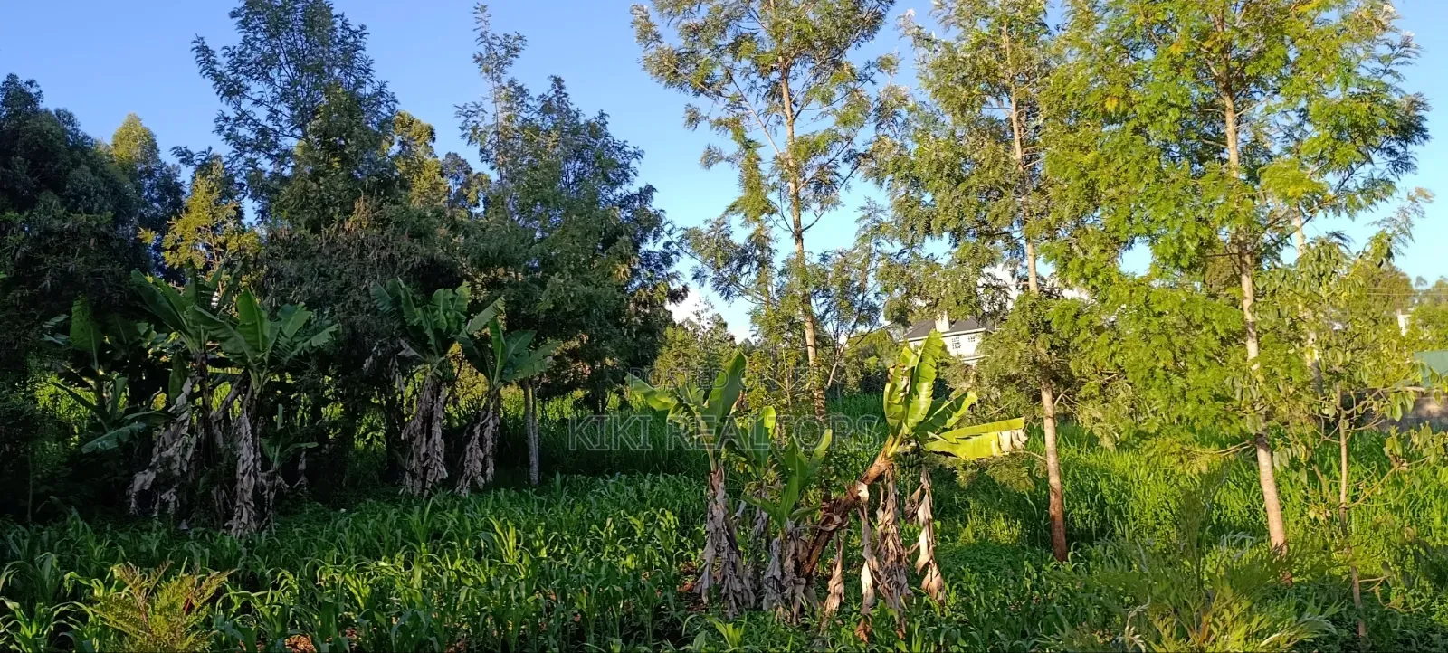 Kikuyu Residential Plots for Sale