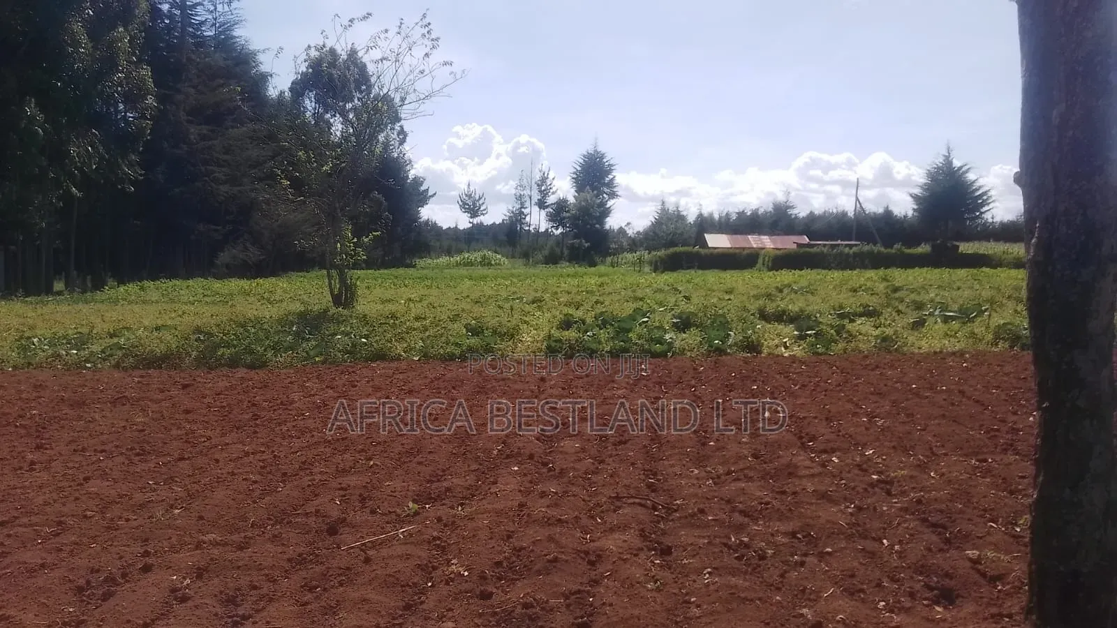  2 Acres Prime Land for Lease – Lower Kabete (Touching Tarmac