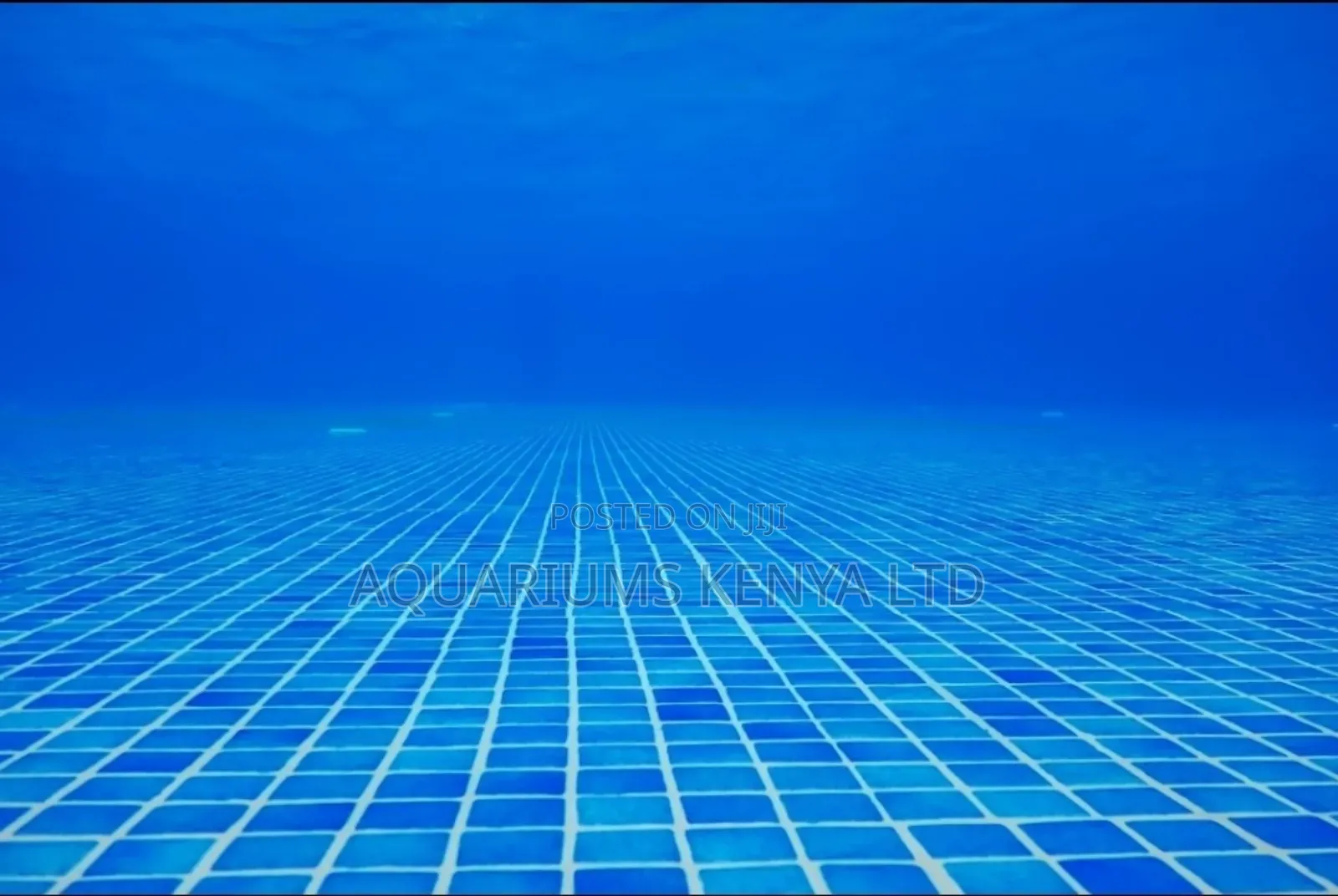 Blue Tiled Swimming Pool Construction – Professional Pool Contractor