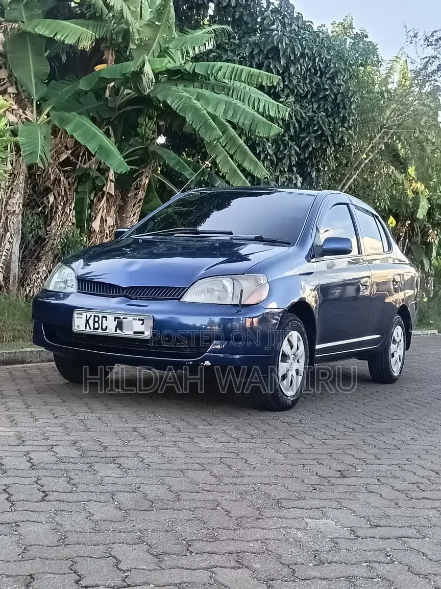 Toyota Platz 2001 Blue