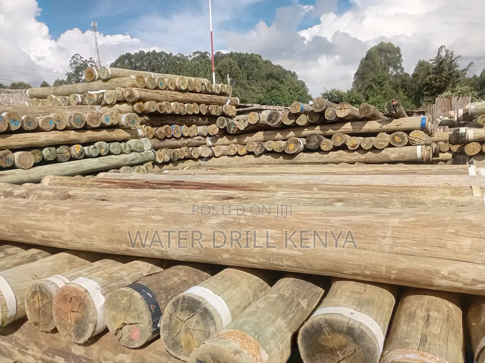 Timber Poles Kenya