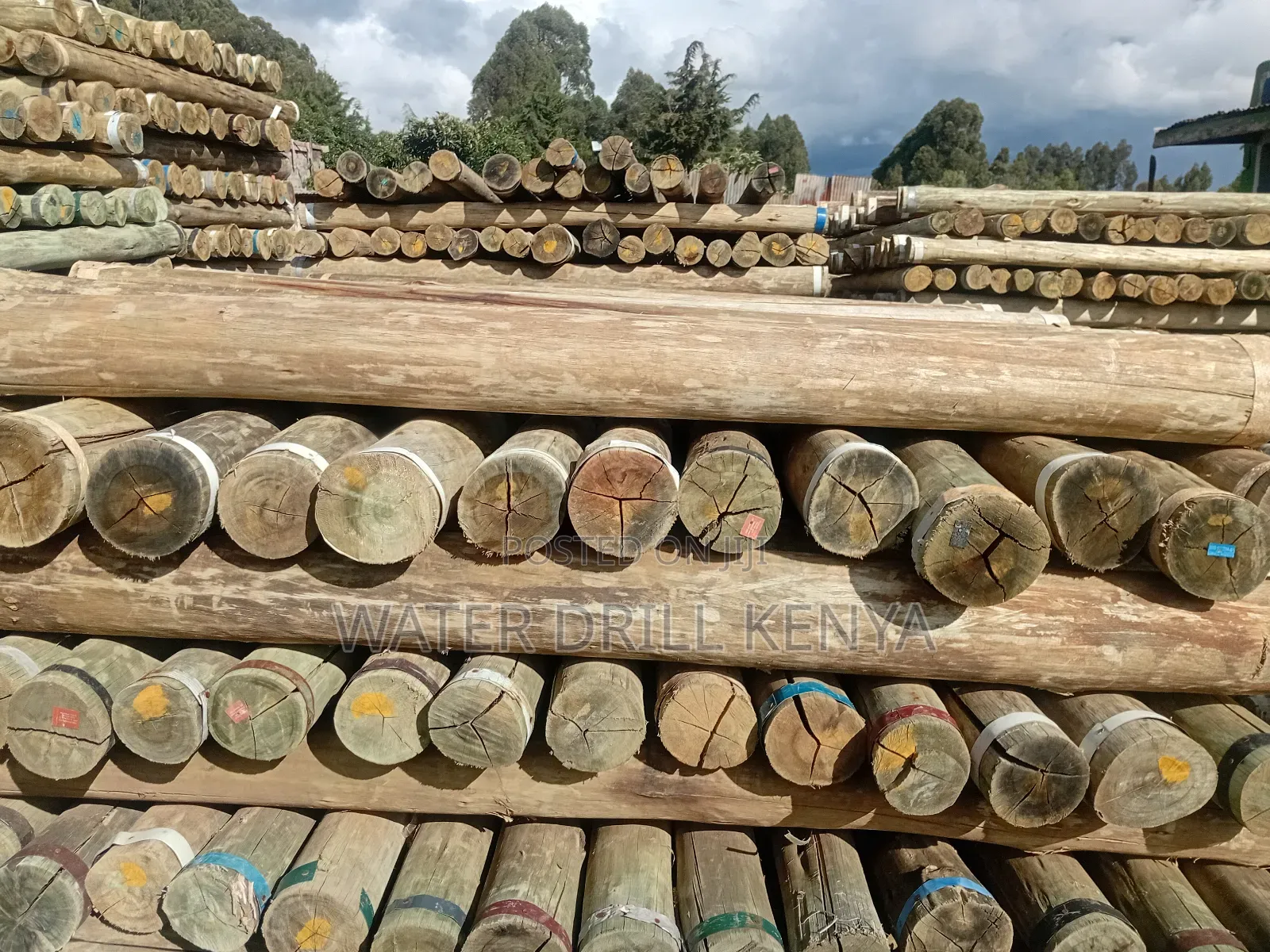 Timber Poles Kenya