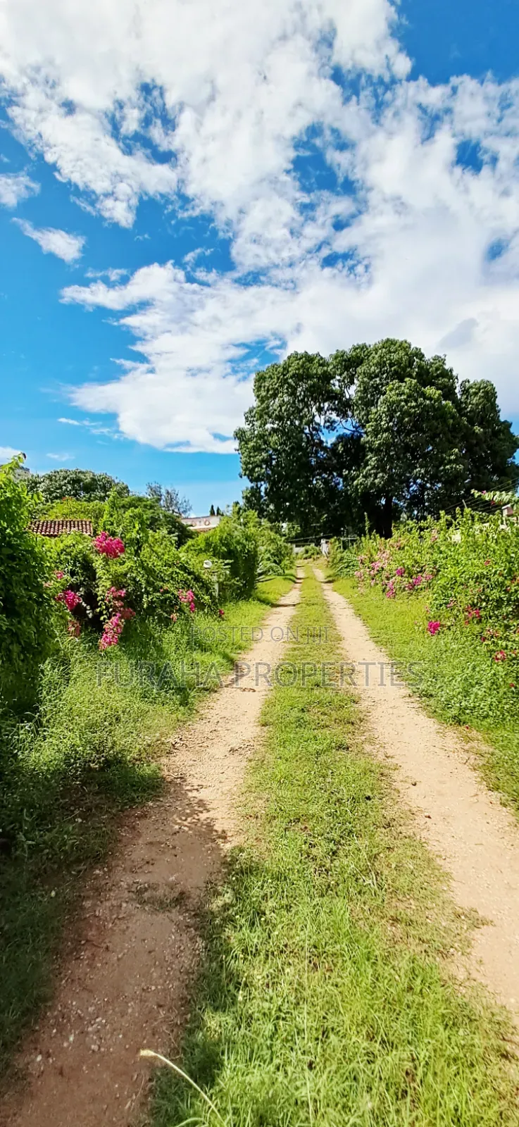 For Sale 1 Acre Prime Land Nyali