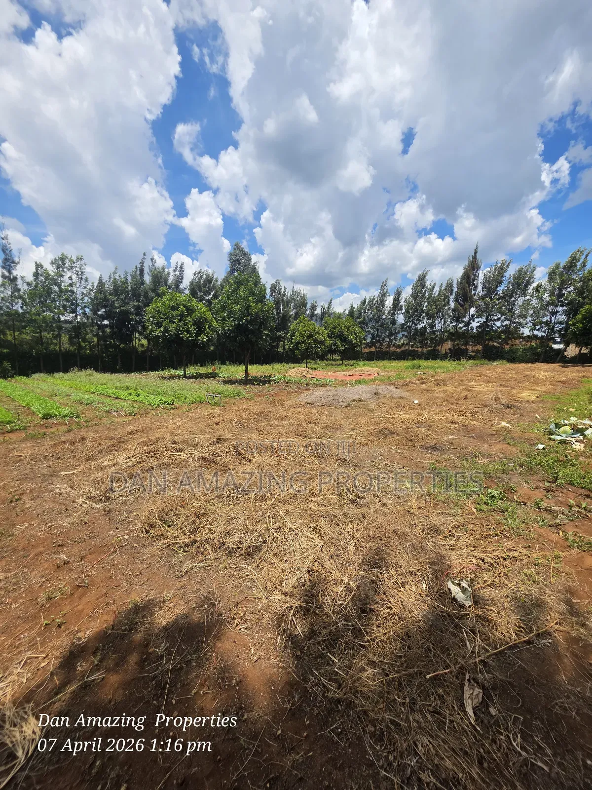 50 by 100 Plot in Ngong Kimuka for Sale I Deal for Residential