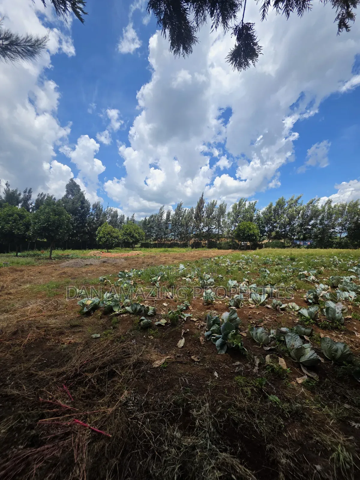 50 by 100 Plot in Ngong Kimuka for Sale I Deal for Residential