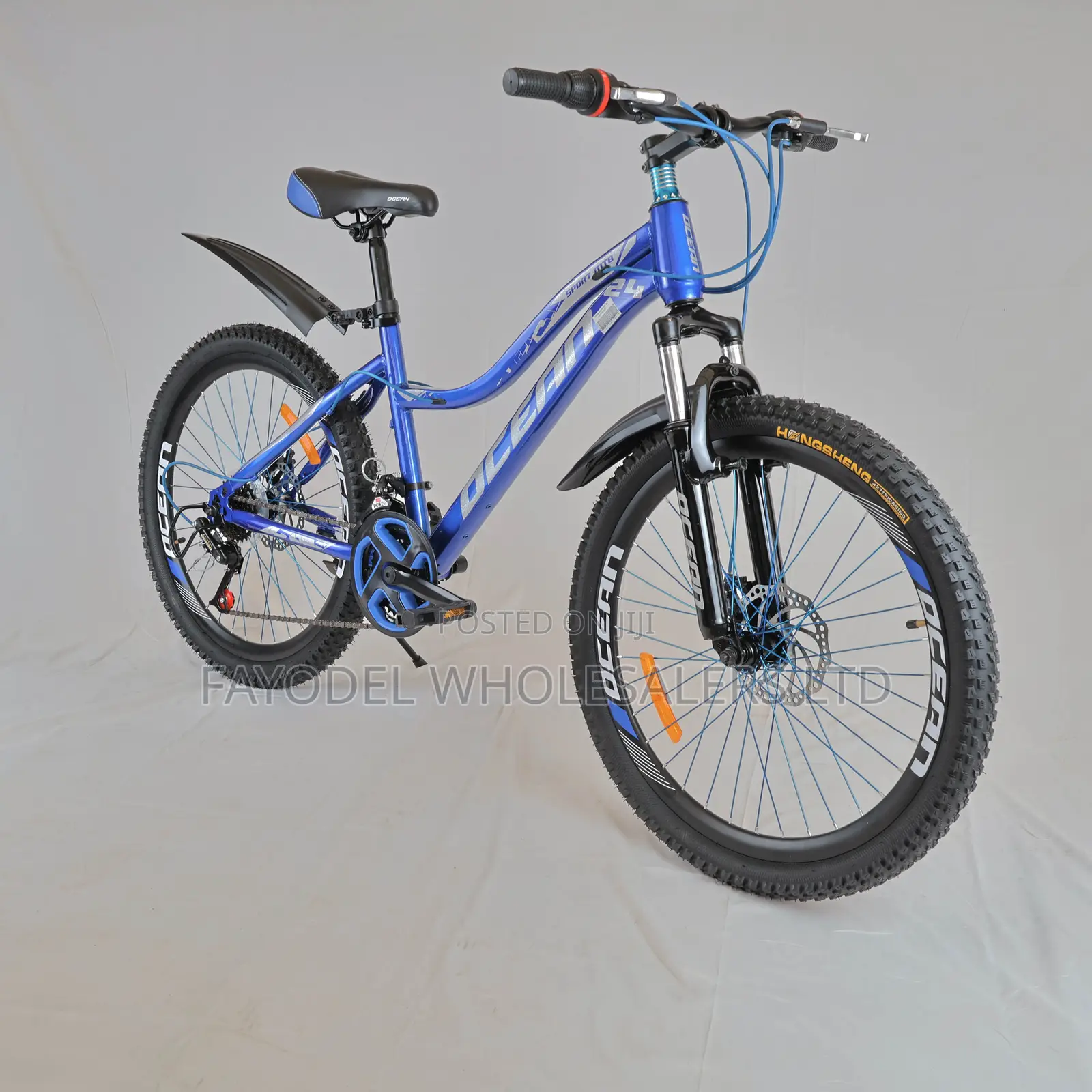 Age 10 + Ocean Mountain Bike Size 24