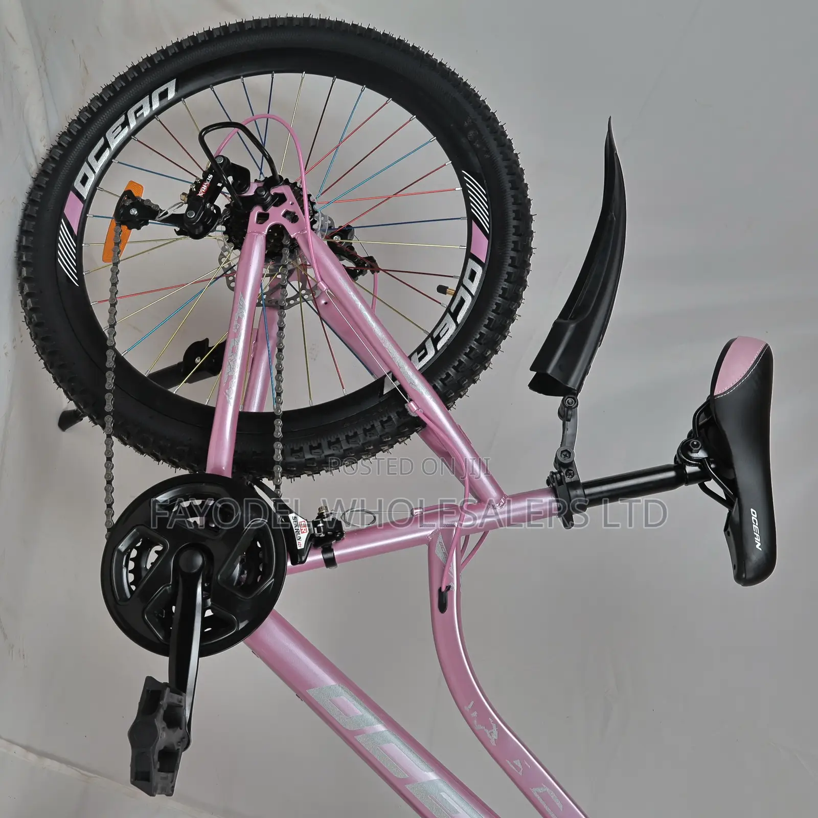 Ocean Quality Teens Mountainbike Size 24 With 21 Speed Gears