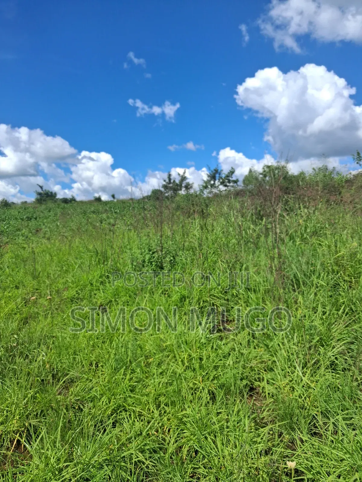 Kitengela Kisaju Very Prime 5,10, 20 Acres Ideal for Town Hse Less 1km