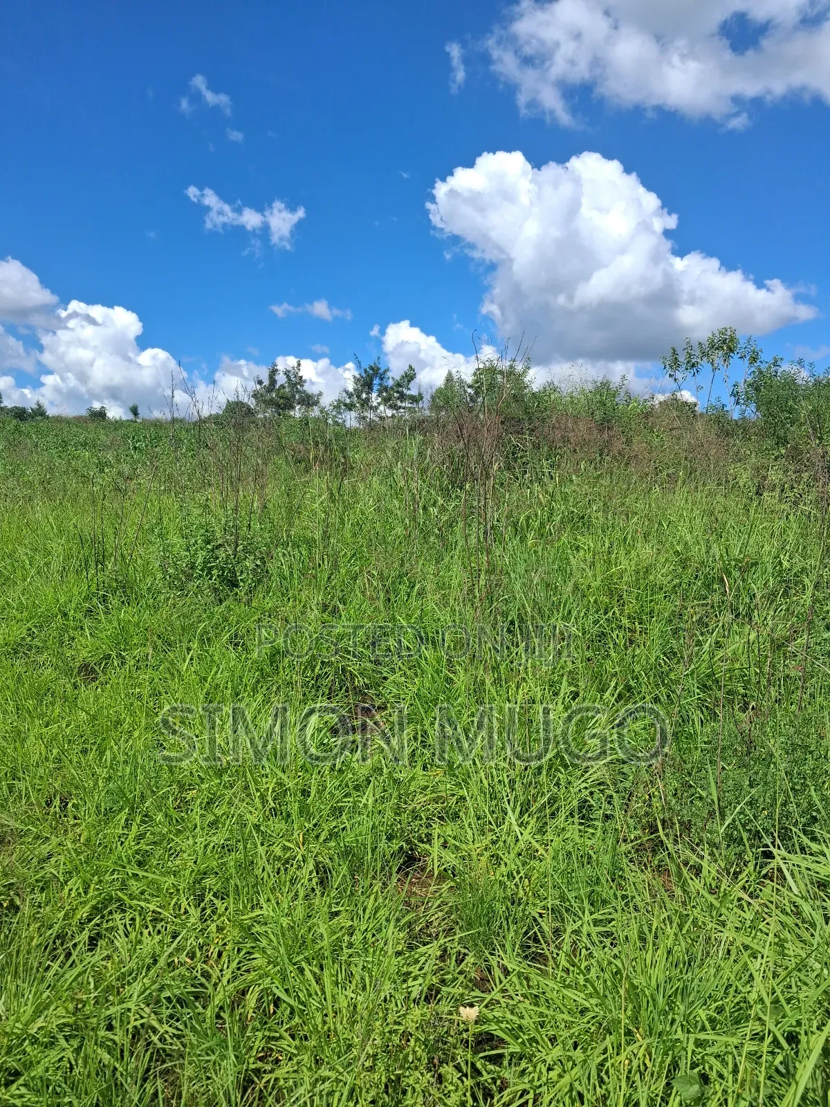 Kitengela Kisaju Very Prime 5,10, 20 Acres Ideal for Town Hse Less 1km