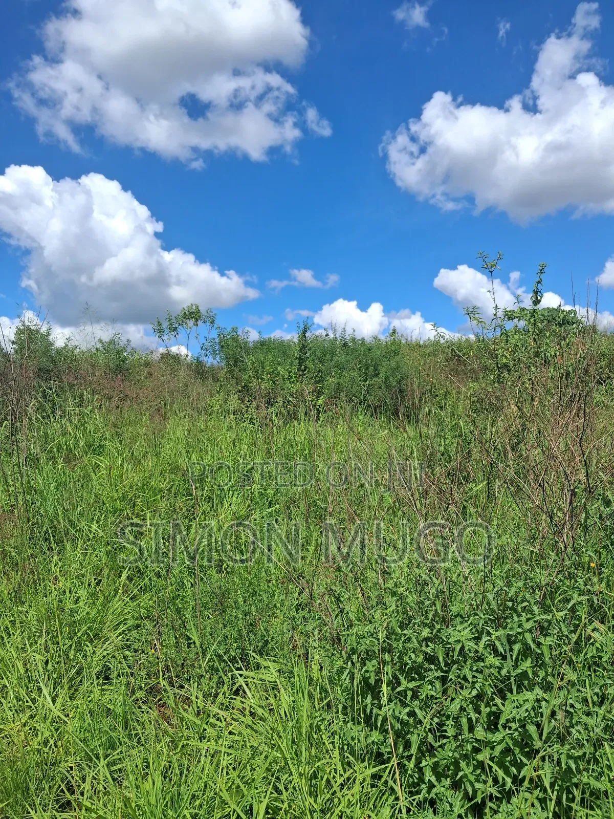 Kitengela Kisaju Very Prime 5,10, 20 Acres Ideal for Town Hse Less 1km