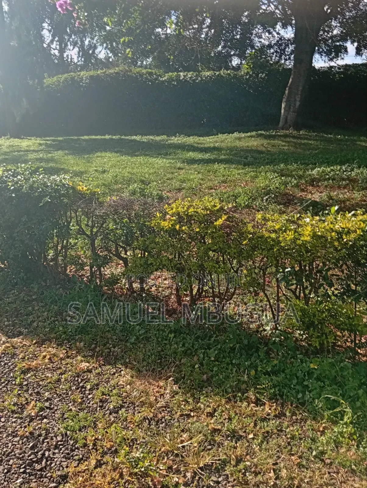 2bdrm House in Karen for rent
