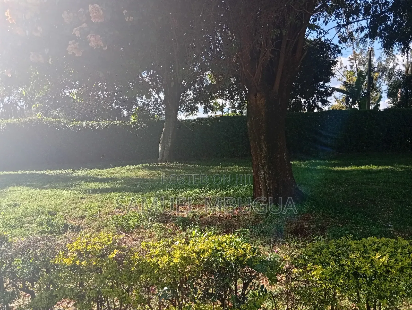 2bdrm House in Karen for rent
