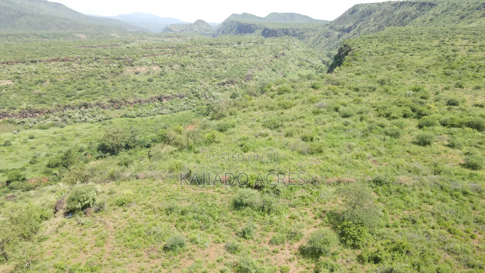 78 Acres Najile at Per Acre