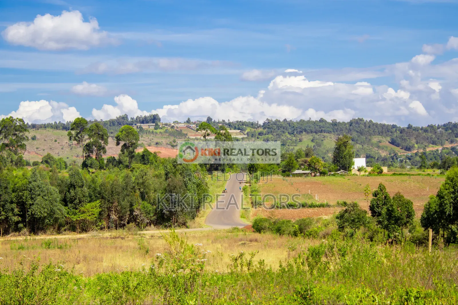 Kikuyu Plots For