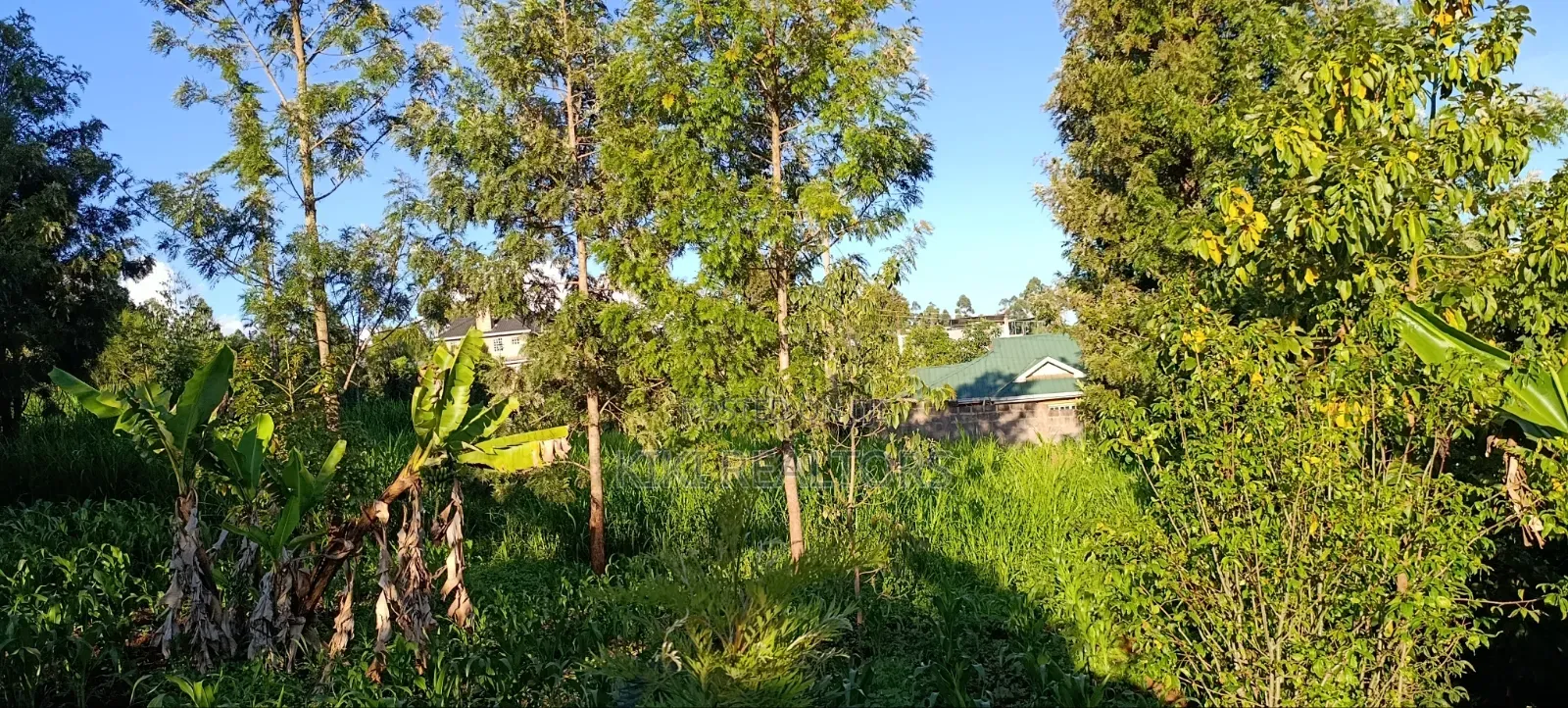 Kikuyu Plots for Sale