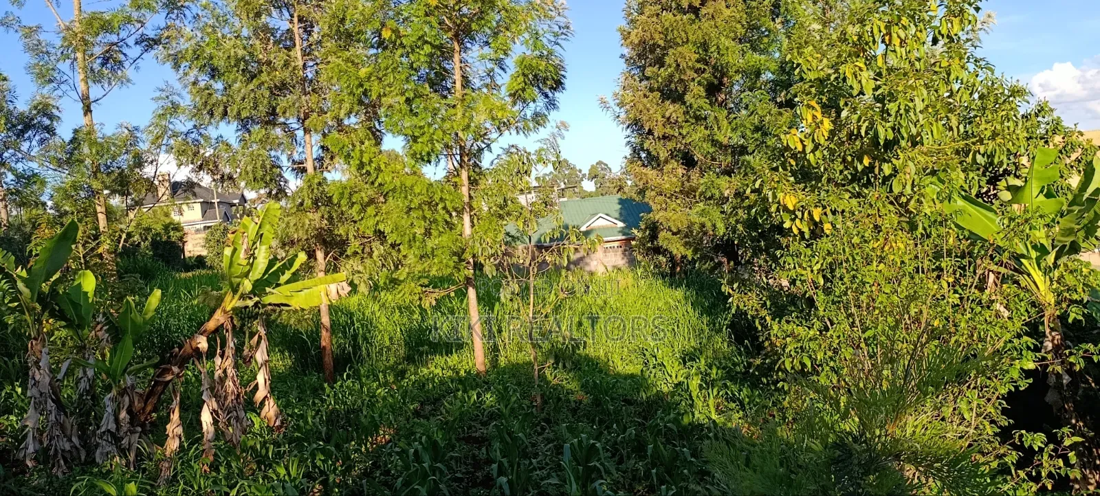 Kikuyu Plots for Sale