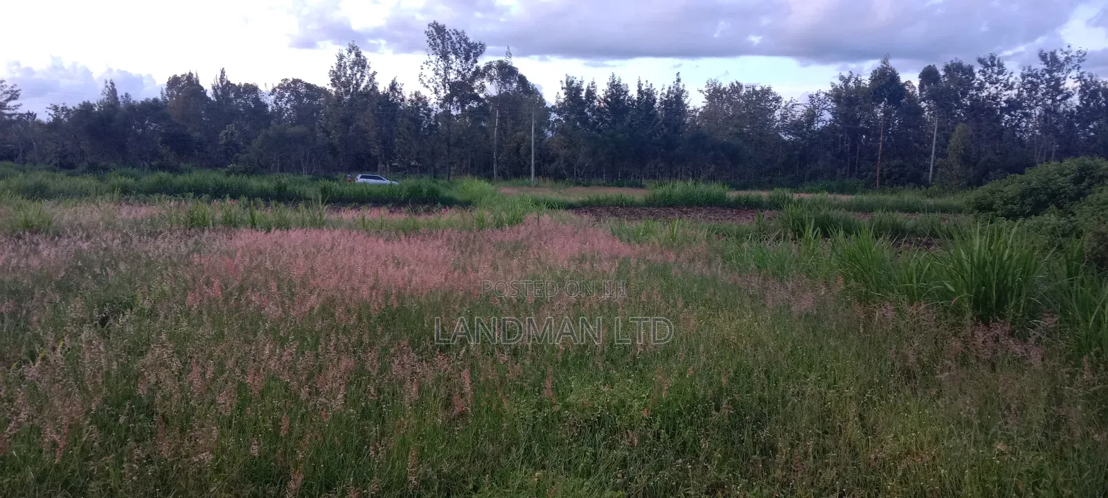 Muranga Loc 20