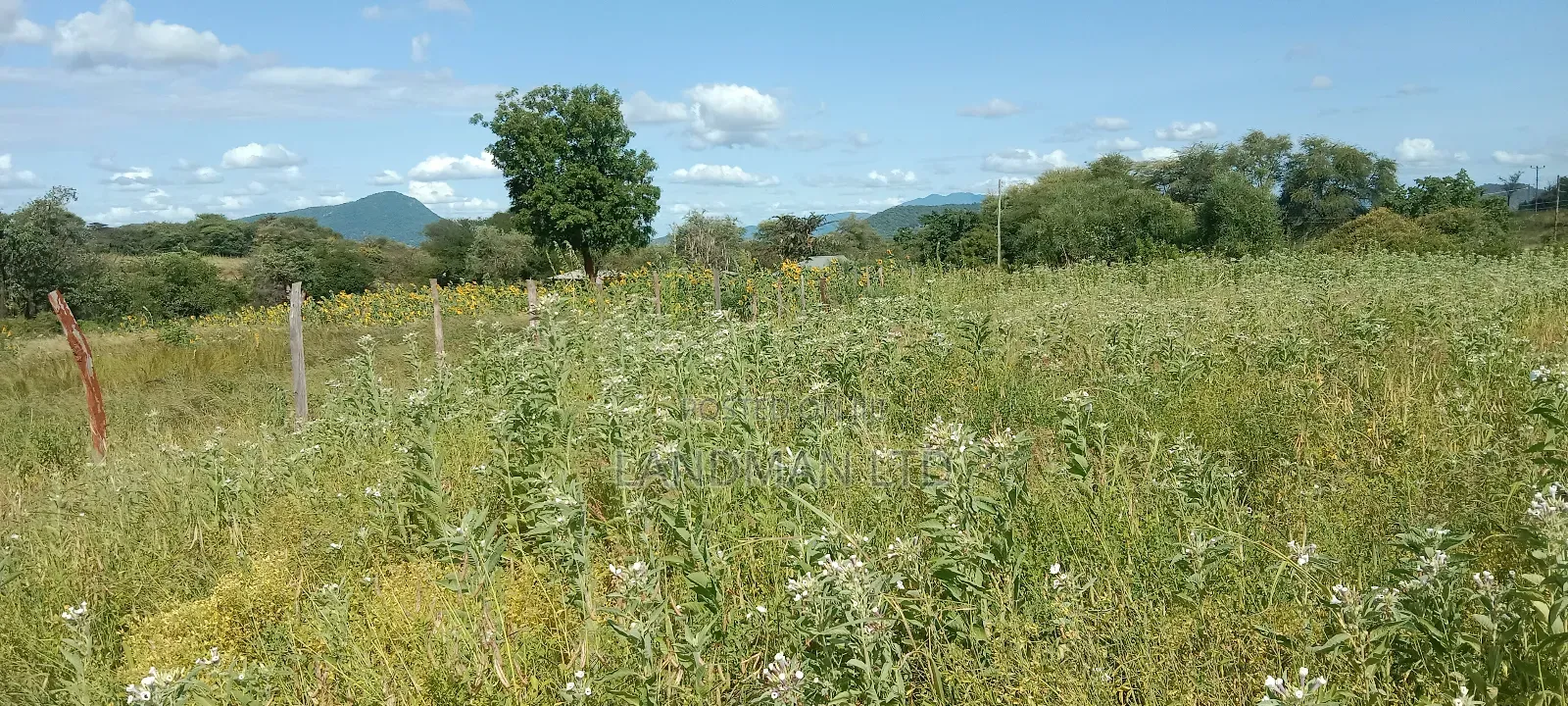 Kajiando Ranch