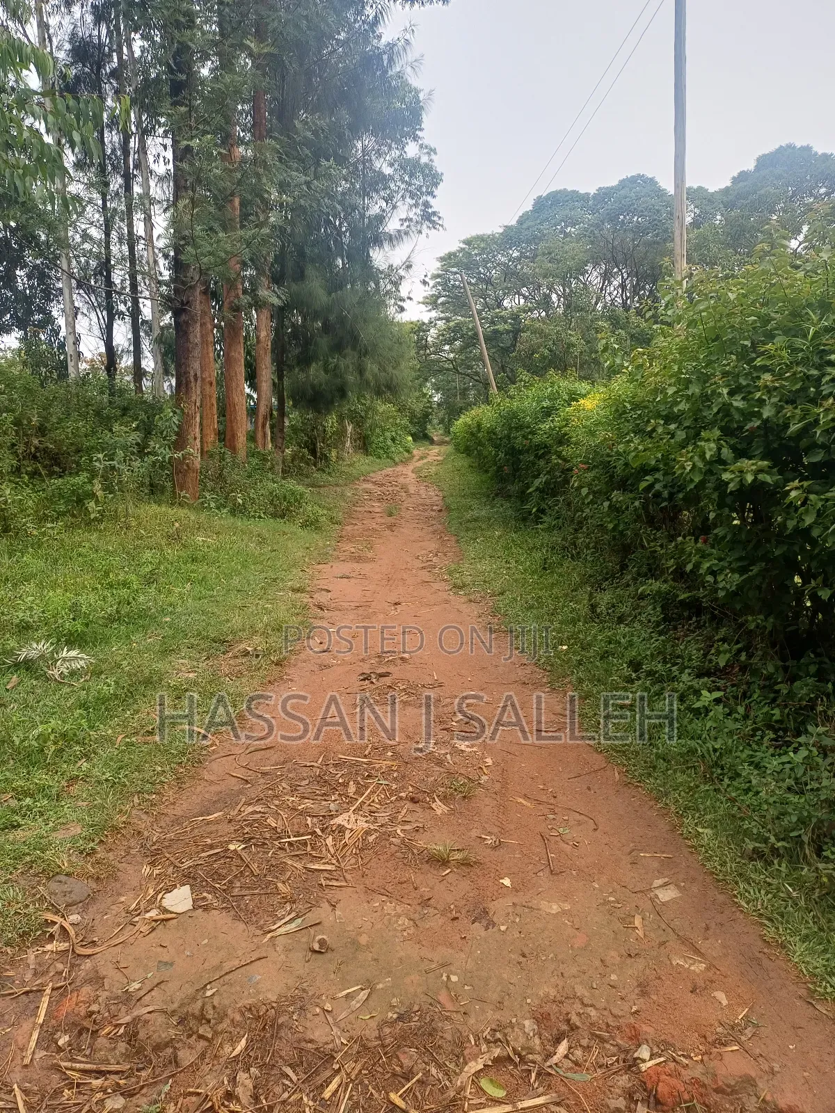 3 Plots 4 Sale St Peters Mumias